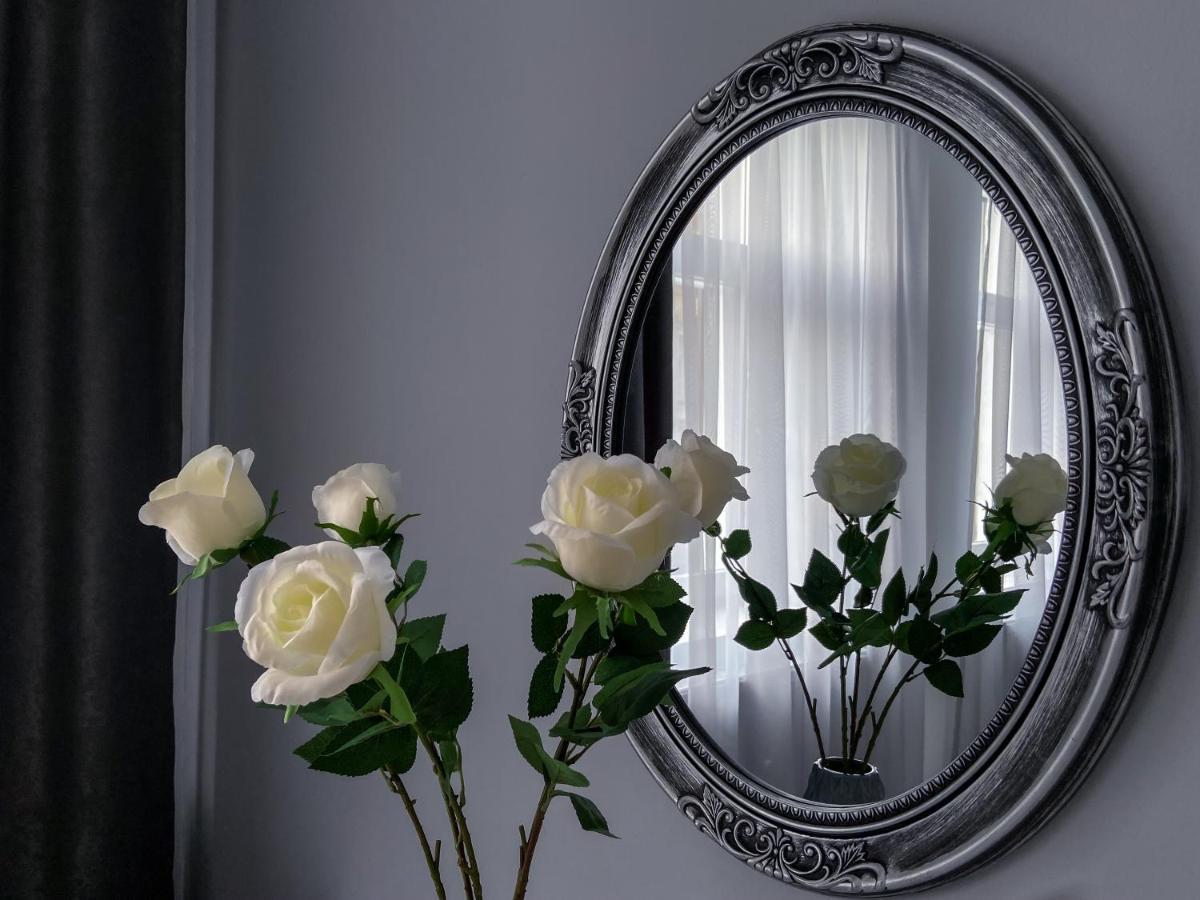 Studio 5 Braşov Dış mekan fotoğraf